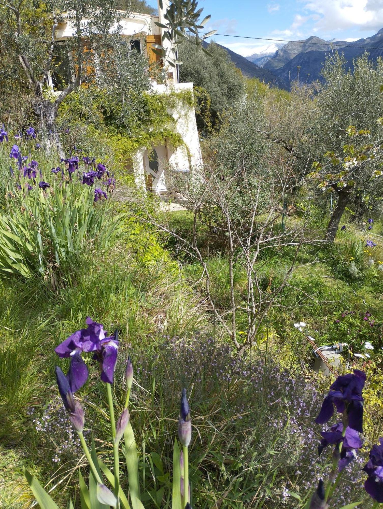 Modestie Villa Breil-sur-Roya Exteriör bild
